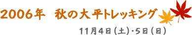 2006�N�@�H�̑啽�g���b�L���O