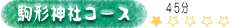 ��`�_�ЃR�[�X