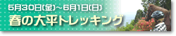 �t�̑啽�g���b�L���O