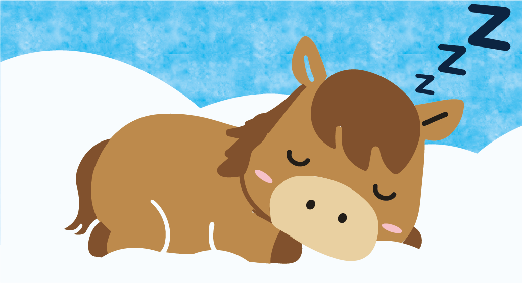 馬房掃除コンテストの画像